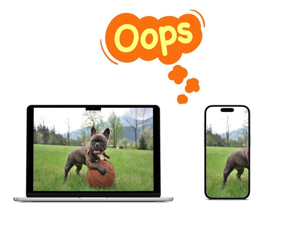 Picture of a dog that is cut off on a mobile device in an awkward way.