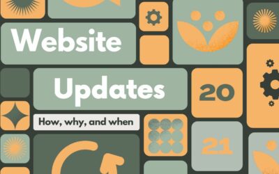 Updating Your WordPress Website – a Full Guide (with Video)